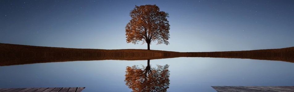 Reflexiones no forteanas