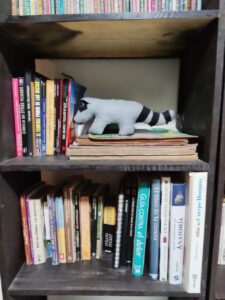 Libros sobre sectas, ciencia, entre otros..